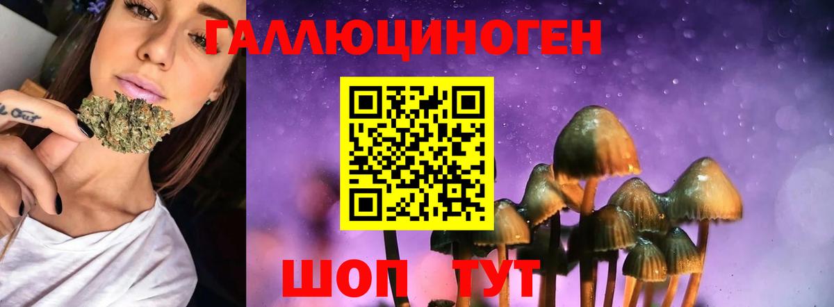 Самара  Псилоцибиновые грибы ЛСД  Вход с VPN 